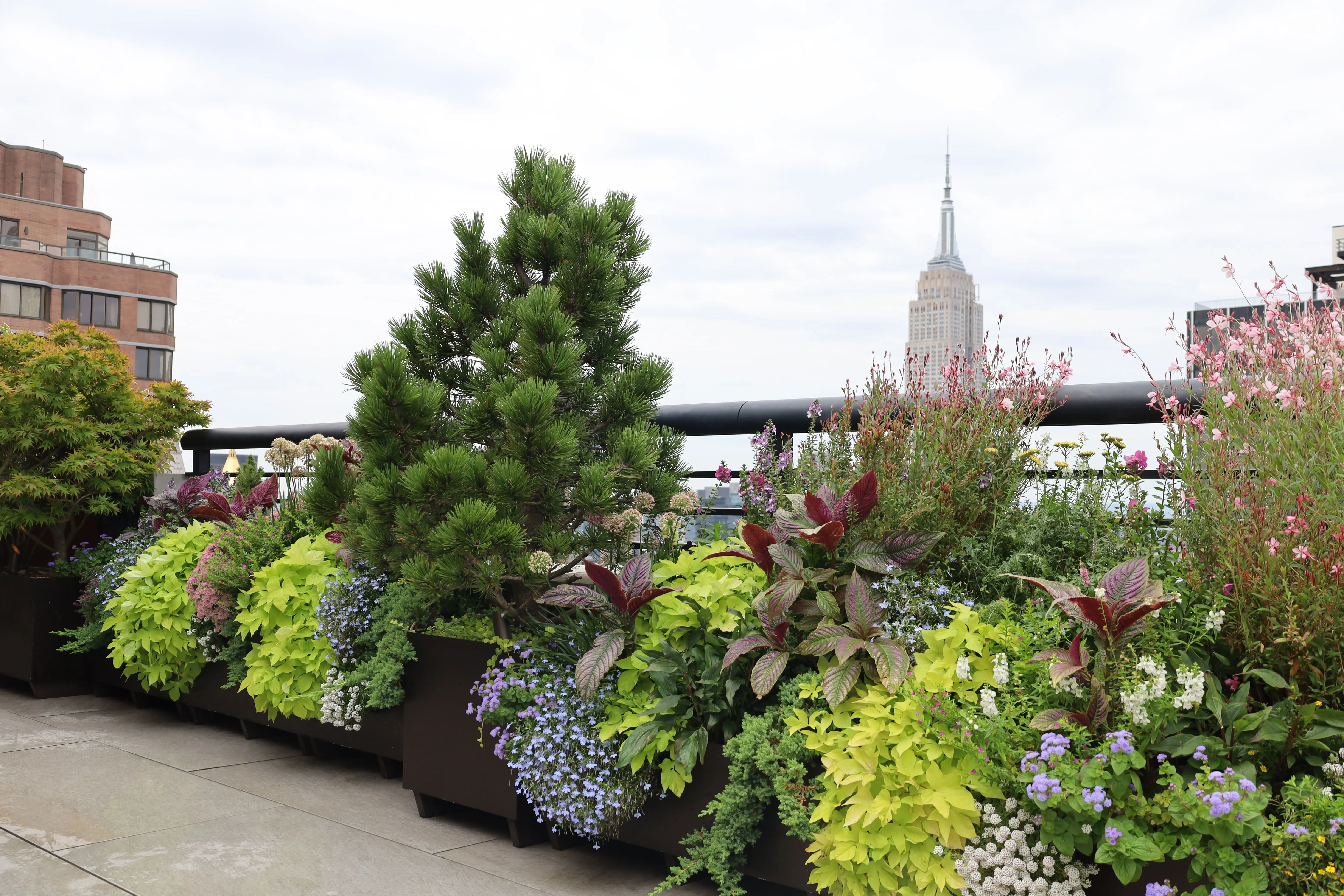 NYC Rooftop Garden