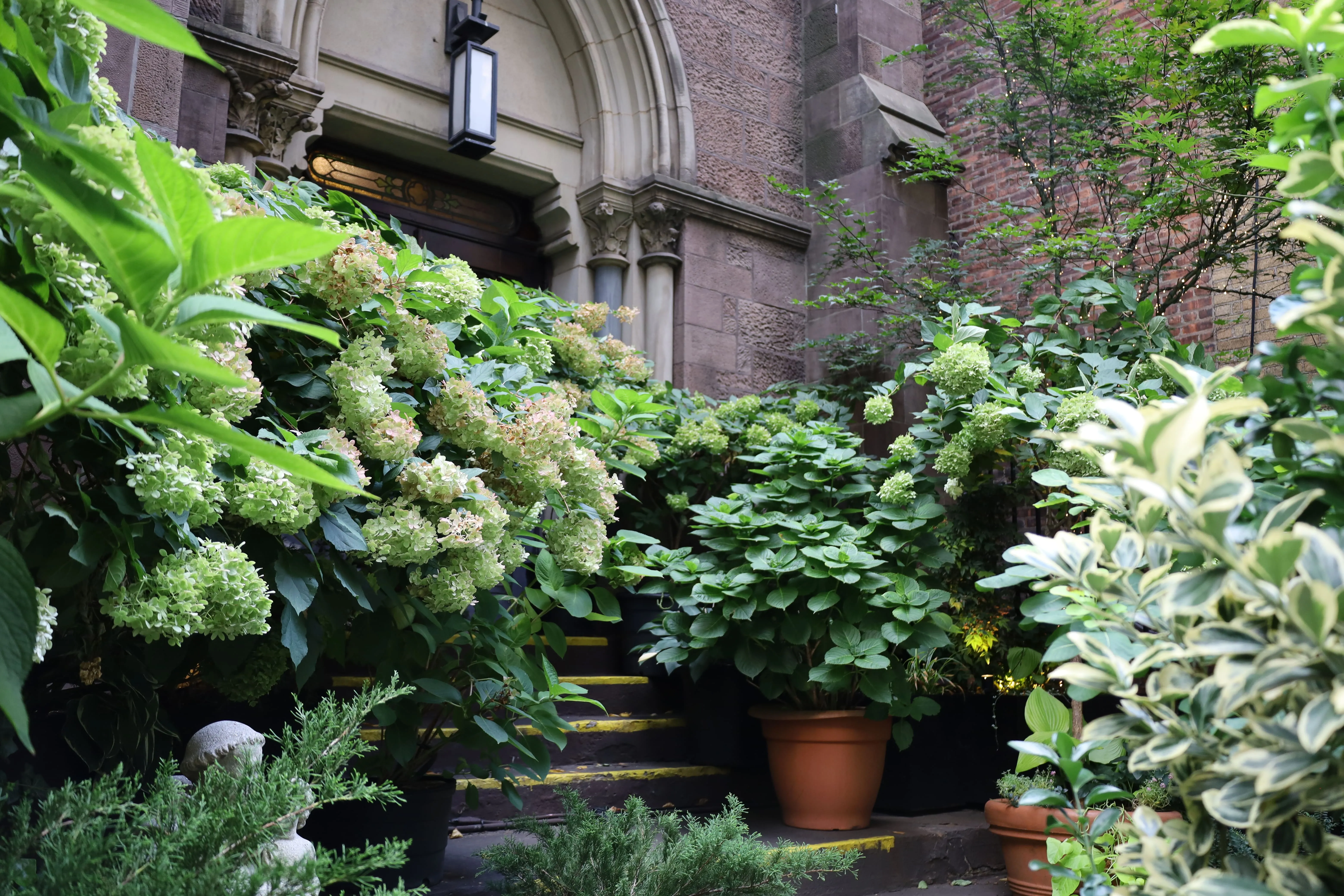 Beautiful rooftop garden in NYC