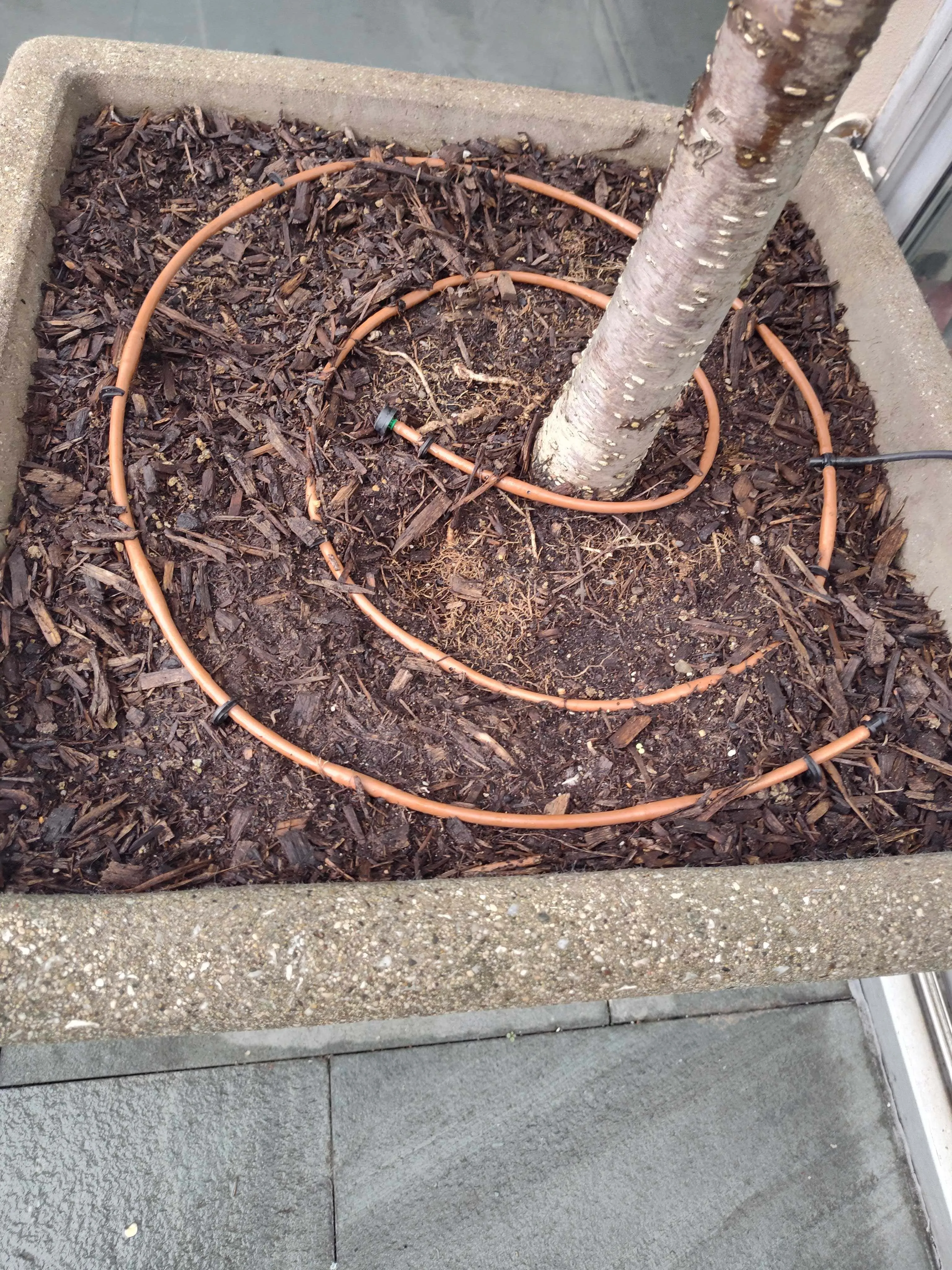 Professional irrigation system installation